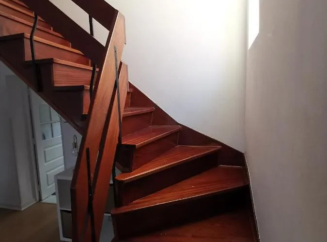 فيلة - Casa Inteira