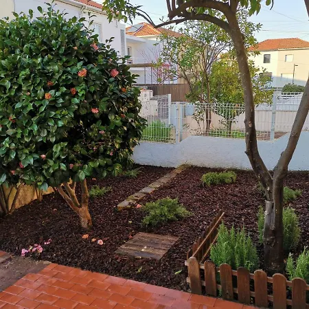 Villa - Casa Inteira Coimbra