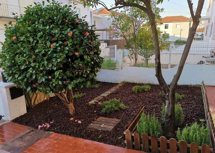 Villa - Casa Inteira Coimbra